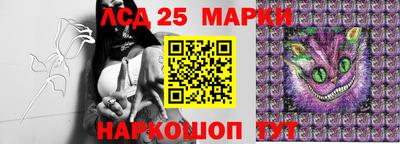 шишки Партизанск