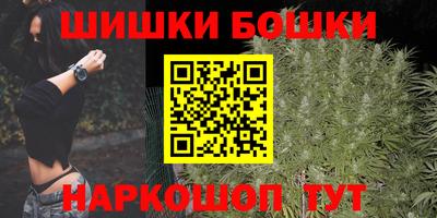 шишки Партизанск