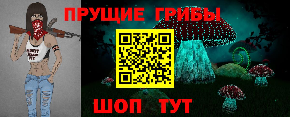 Галлюциногенные грибы Psilocybine cubensis  Галлюциногенные грибы Cubensis  Свободный  Вход с VPN 